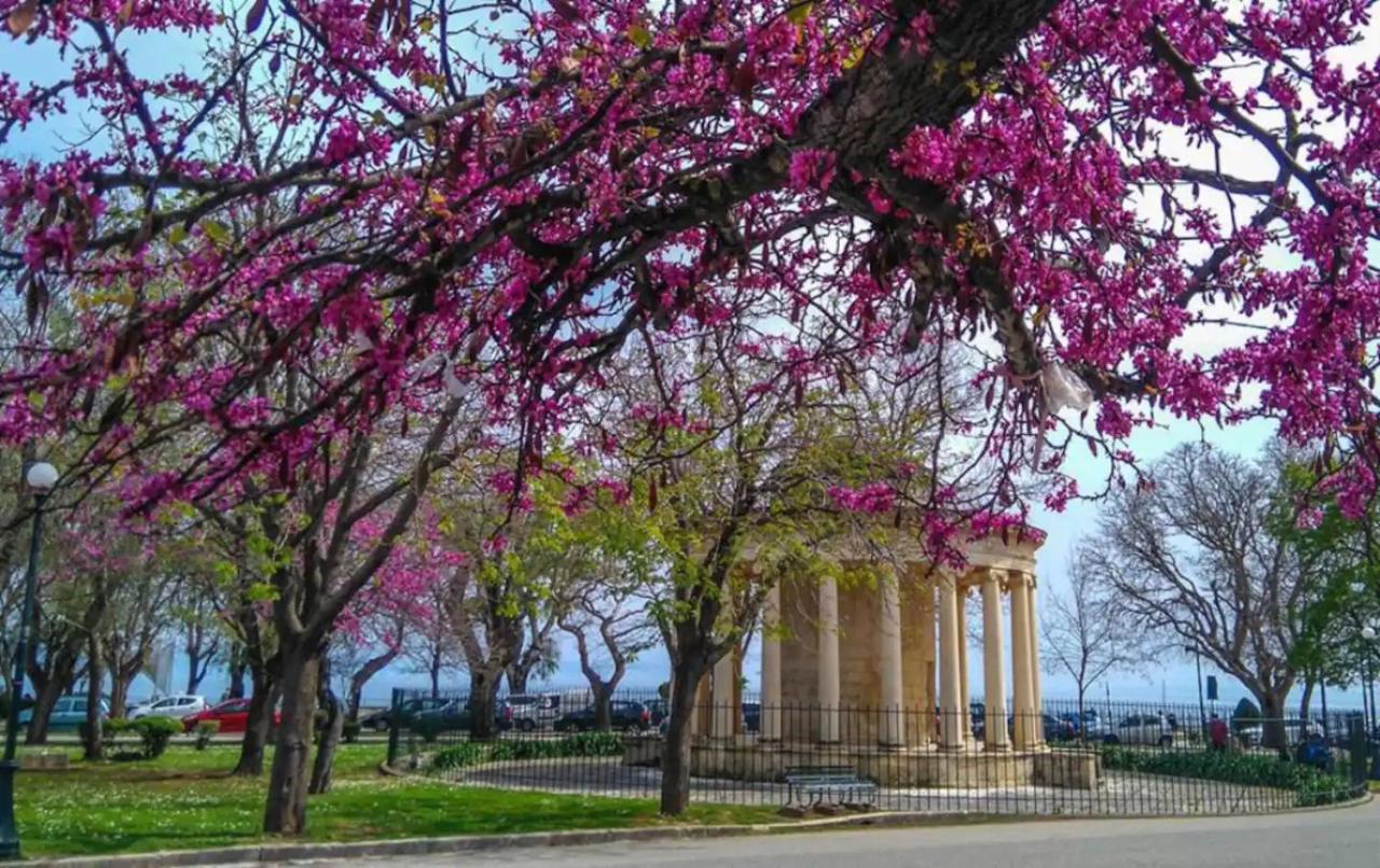 Corfu Studio In Historic Unesco City Centre Luaran gambar